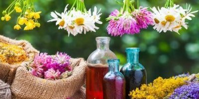healing-herbs-bunches-bottle-of-oil-or-tincture-hessian-bags-with-dried-marigold-and-clover-herbal-medicine_orig